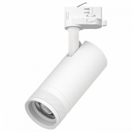 Светильник на штанге Lightstar Canno Pro C4206QT