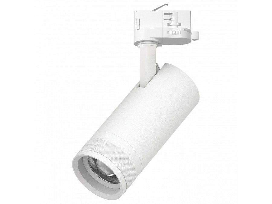 Светильник на штанге Lightstar Canno Pro C4206QT