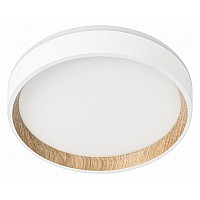 Накладной светильник Citilux Etalon CL750180