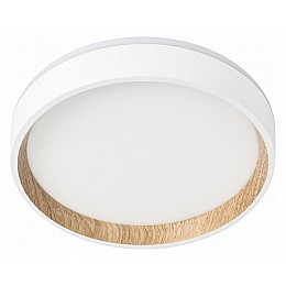 Накладной светильник Citilux Etalon CL750180