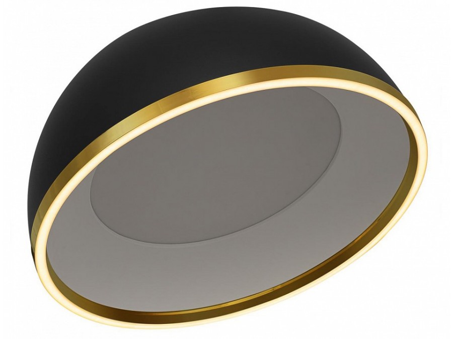 Накладной светильник Citilux FLOOM CL736151