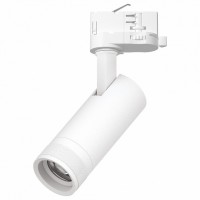 Светильник на штанге Lightstar Canno Pro C4126QT