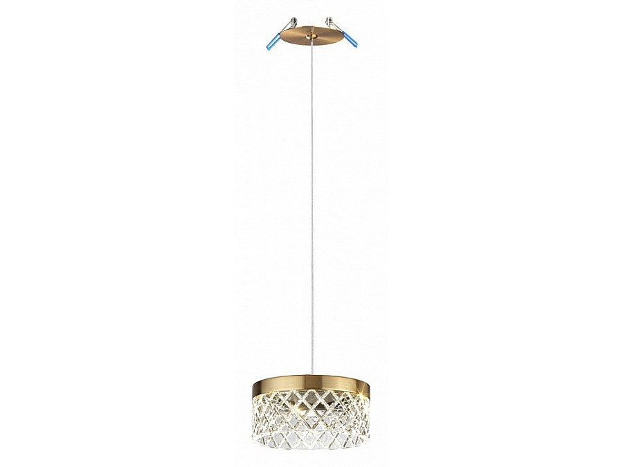 Подвесной светильник Odeon Light Fivre 5032/6L