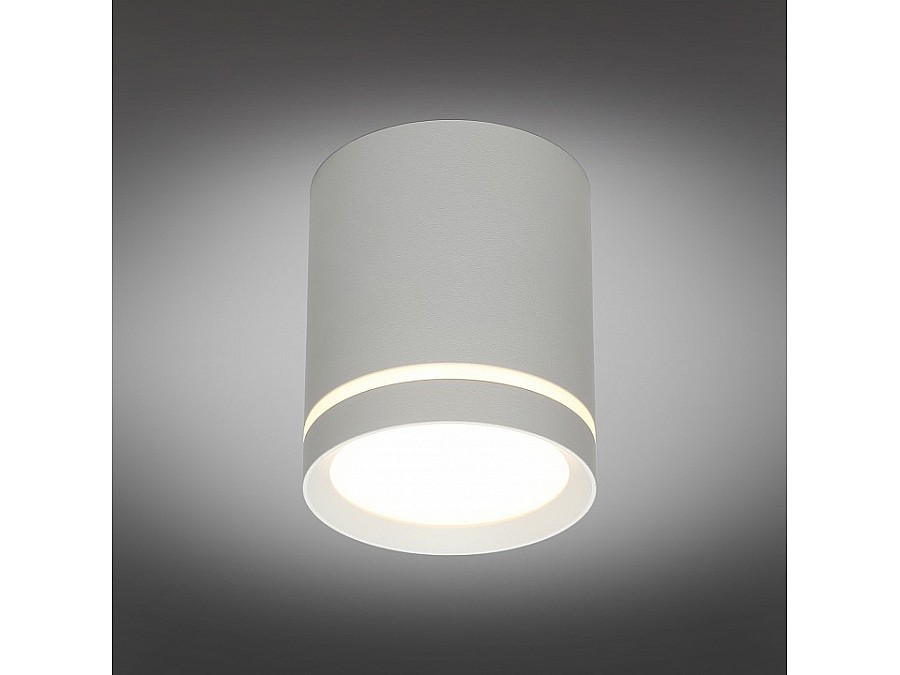 Накладной светильник Omnilux Capurso OML-102429-05