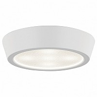 Накладной светильник Lightstar Urbano 214902