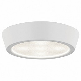 Накладной светильник Lightstar Urbano 214902