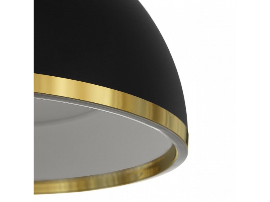 Подвесной светильник Citilux FLOOM CL736251