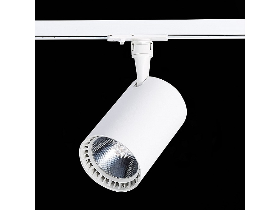 Светильник на штанге ST-Luce Cami ST351.536.30.24