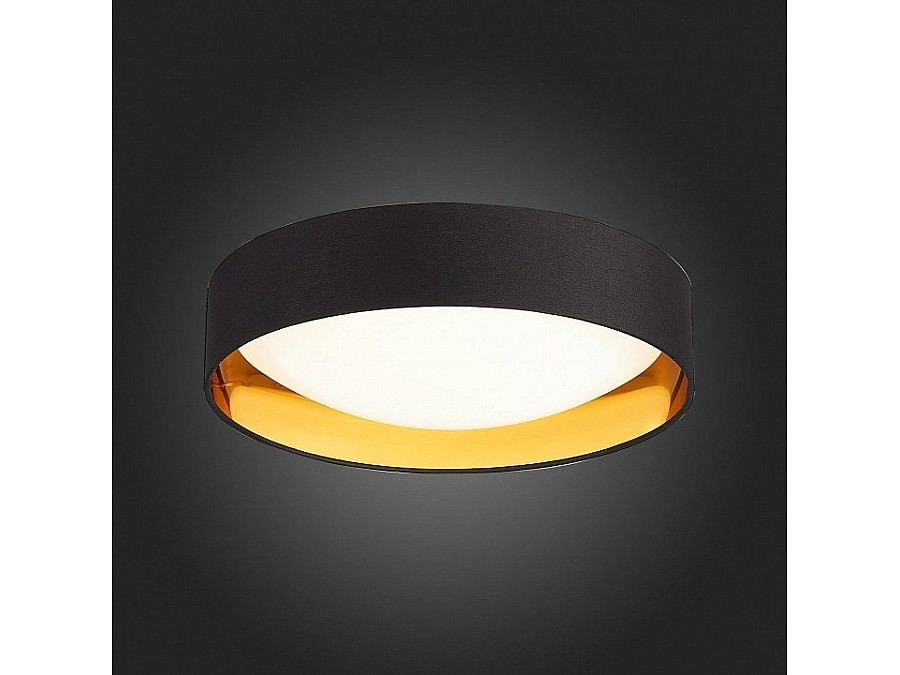 Накладной светильник EVOLUCE Orbio SLE201102-01