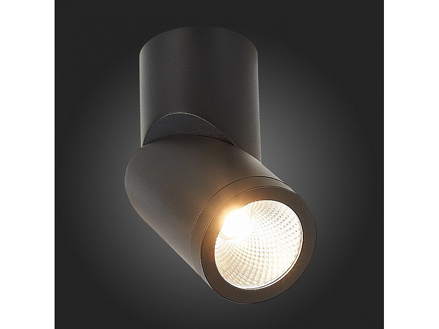 Светильник на штанге ST-Luce ST650 ST650.442.10
