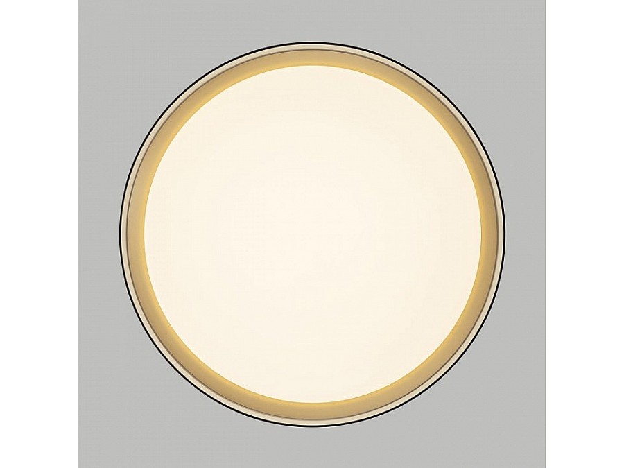 Накладной светильник Citilux BOSS CL751351G