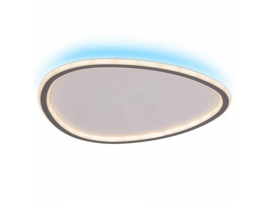 Накладной светильник Citilux ТRIO CL215B251E