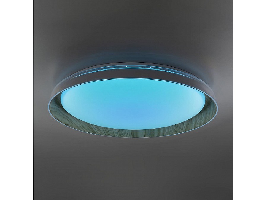 Накладной светильник Citilux MEGA CL752452G