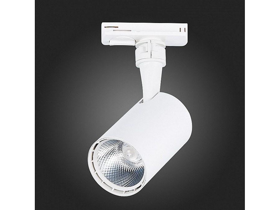 Светильник на штанге ST-Luce Cami ST351.536.10.36