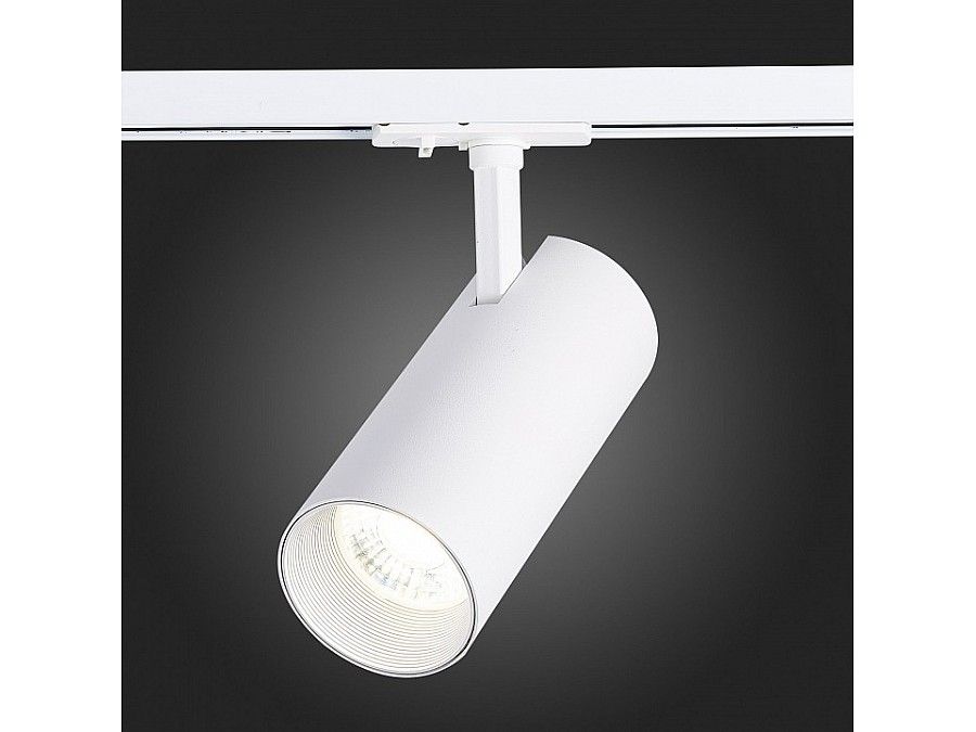 Светильник на штанге ST-Luce Mono ST350.546.30.24