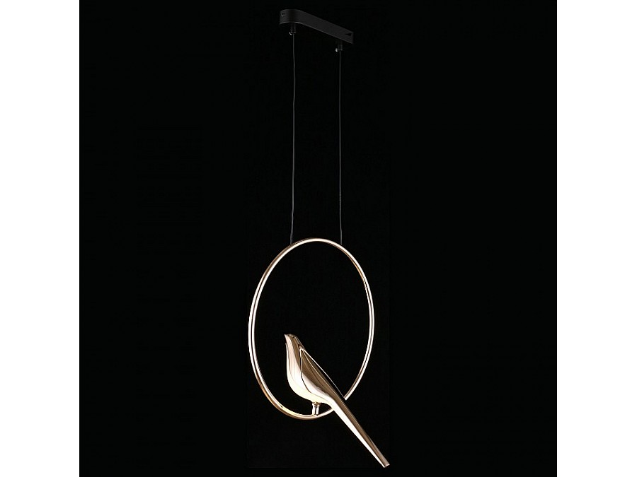 Подвесной светильник Aployt Astor APL.822.06.10