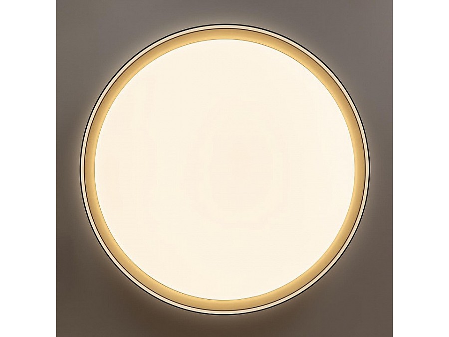 Накладной светильник Citilux BOSS CL751451G