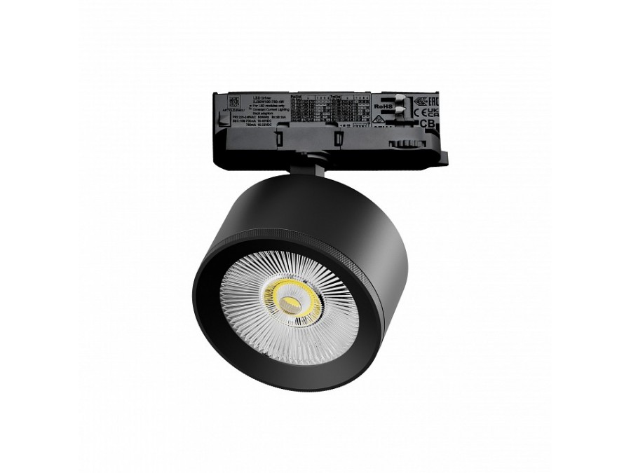 Светильник на штанге Lightstar Alta Pro A5547QT