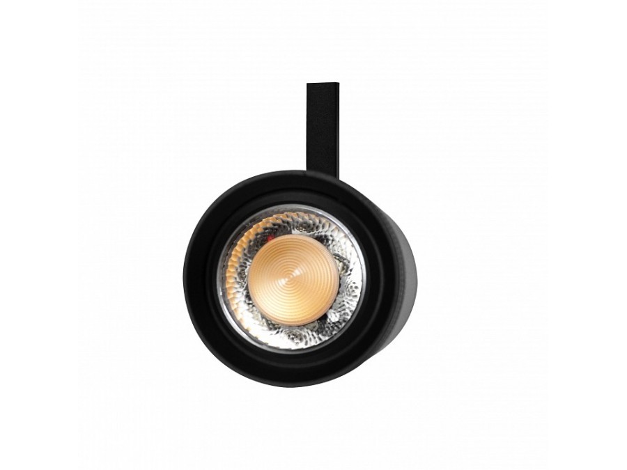 Светильник на штанге Lightstar Canno Pro 304207