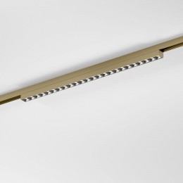 Накладной светильник Elektrostandard  85529/01