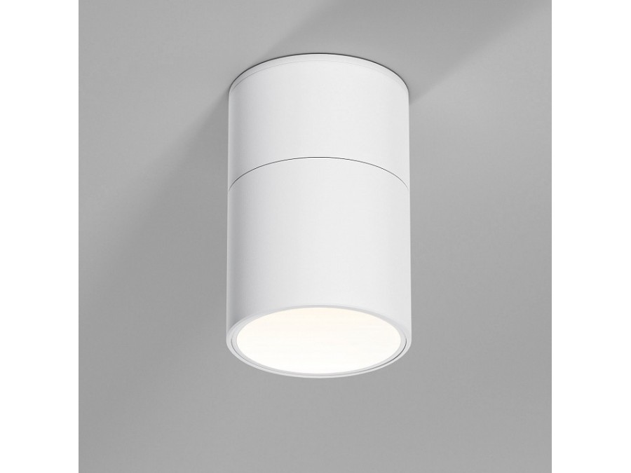 Накладной светильник Elektrostandard Rolly a067487