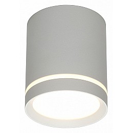 Накладной светильник Omnilux Capurso OML-102429-05