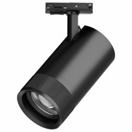 Светильник на штанге Lightstar Canno Pro C4407SS