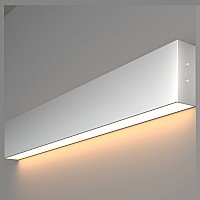 Накладной светильник Elektrostandard Grand 101-100-30-53
