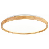 Накладной светильник EVOLUCE DELIA SLE201382-01