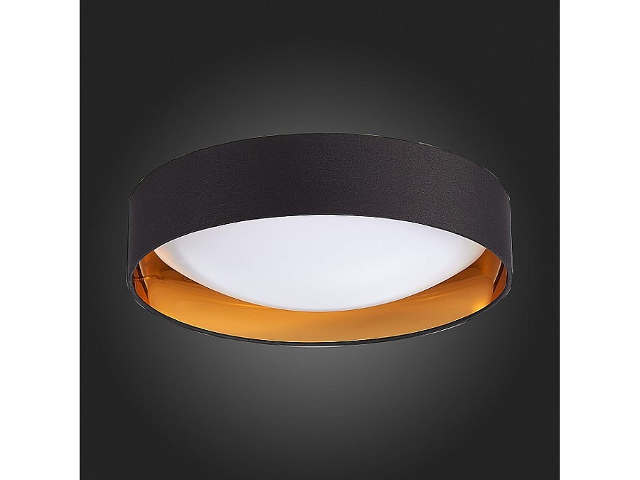 Накладной светильник EVOLUCE Orbio SLE201102-01