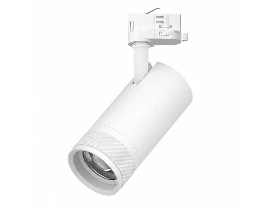 Светильник на штанге Lightstar Canno Pro C4306QT