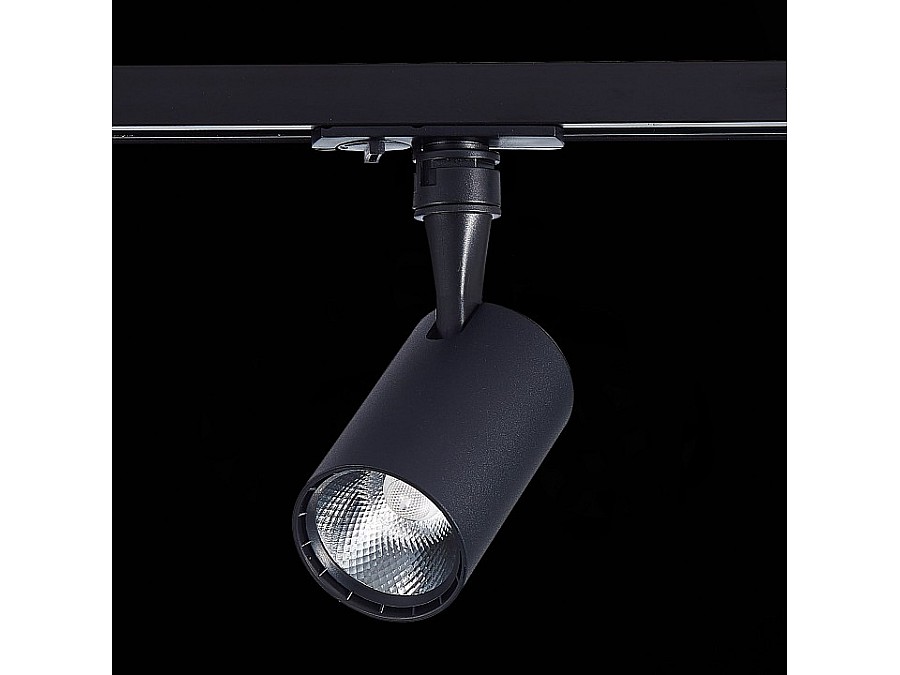 Светильник на штанге ST-Luce Cami ST351.436.10.36