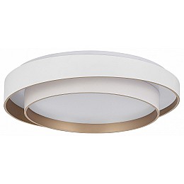 Накладной светильник EVOLUCE Crosby SLE6009-502-01