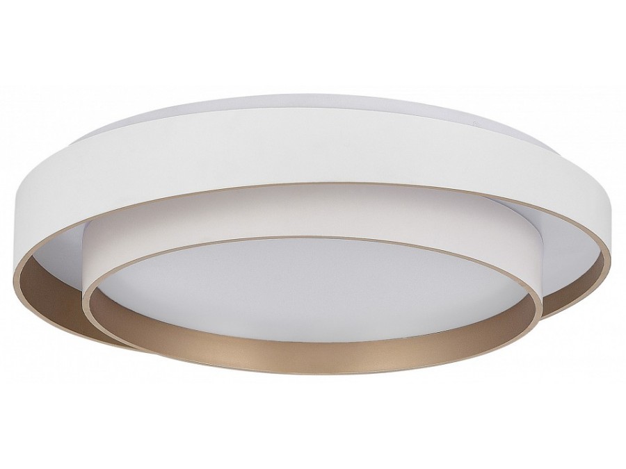 Накладной светильник EVOLUCE Crosby SLE6009-502-01