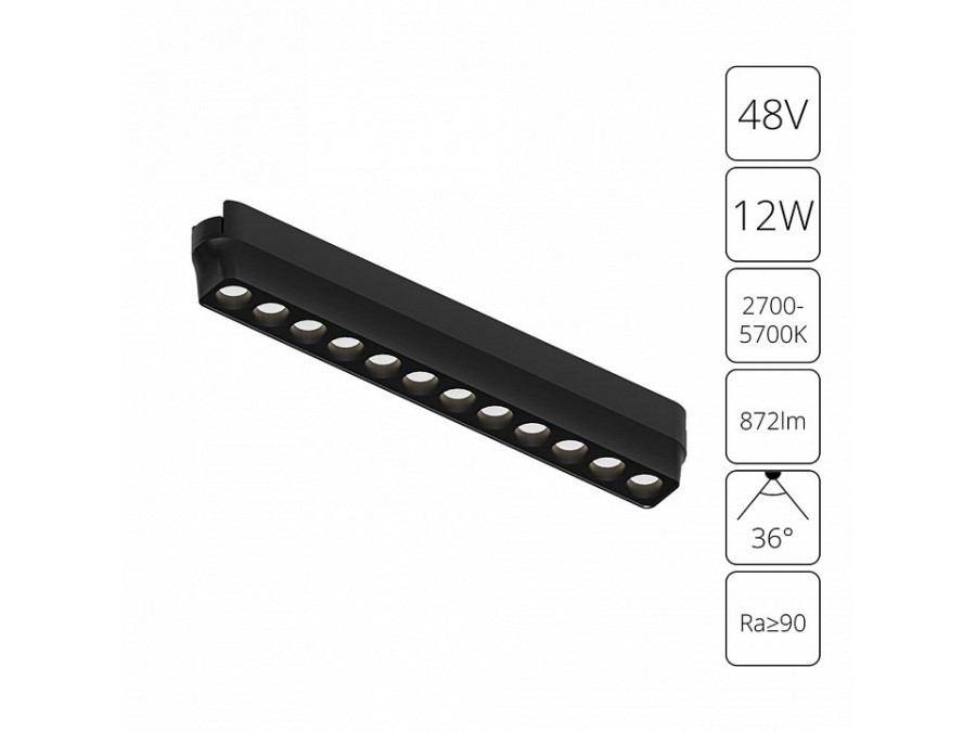 Накладной светильник Arte Lamp Rapid A2954PL-1BK