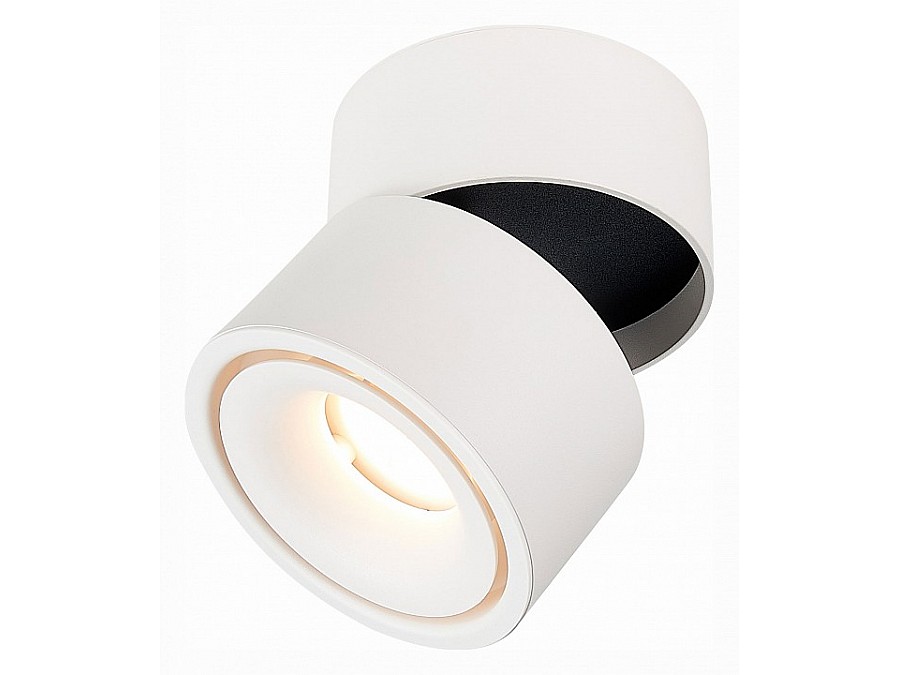 Светильник на штанге ST-Luce ST652 ST652.532.12