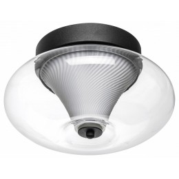 Накладной светильник Lightstar Palermo 612017