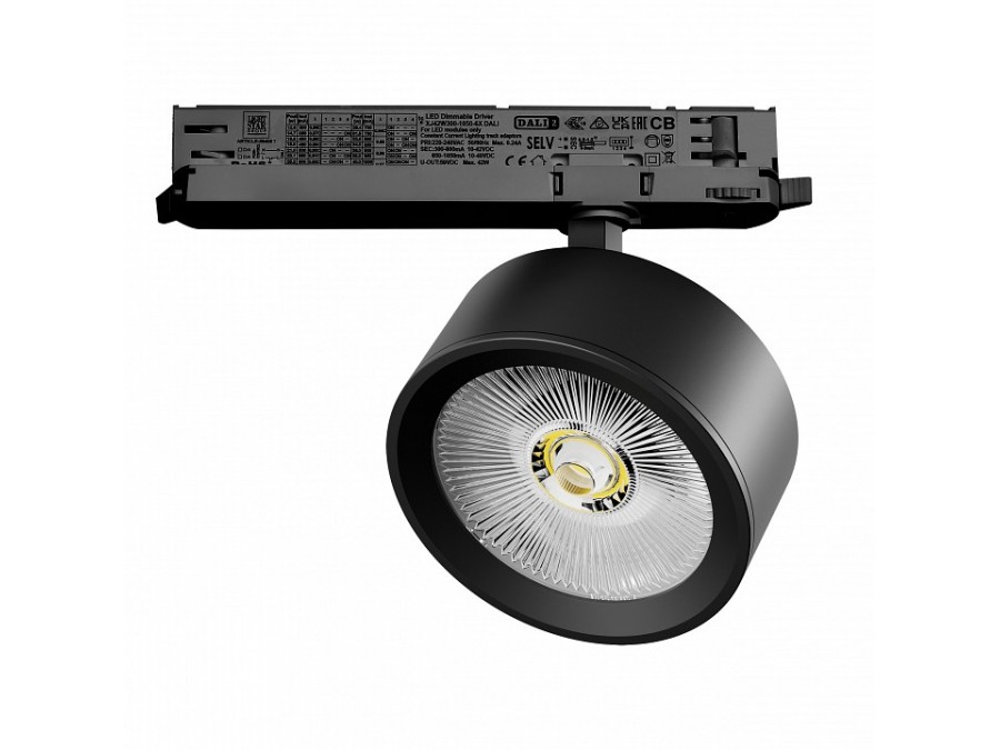 Светильник на штанге Lightstar Alta Pro A5647DALI