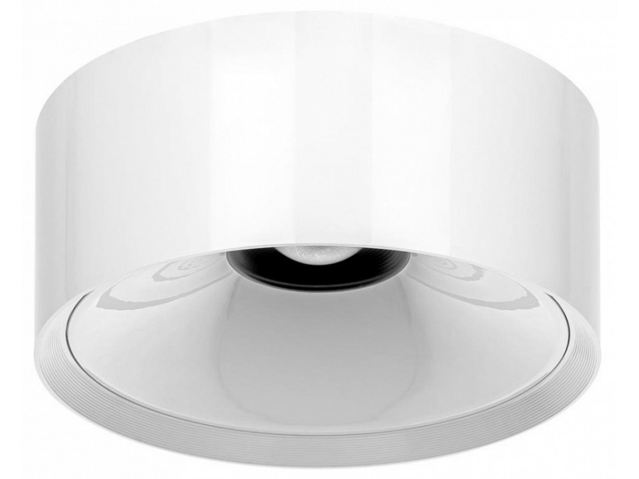 Накладной светильник Citilux Rover CL743150N