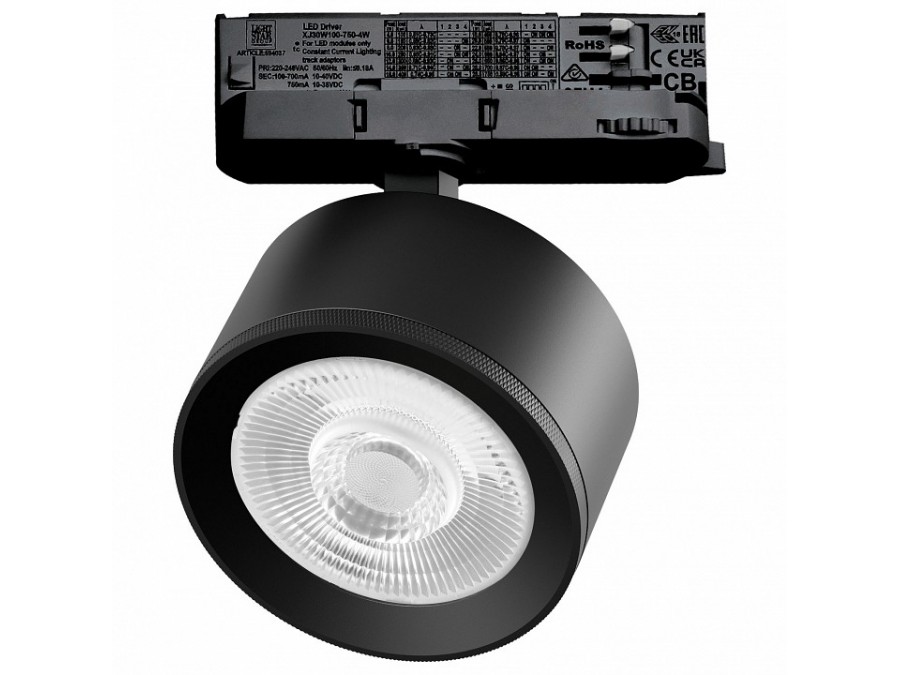 Светильник на штанге Lightstar Alta Pro A5547QT60G