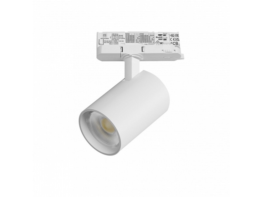 Светильник на штанге Lightstar Alta Base A5246QT