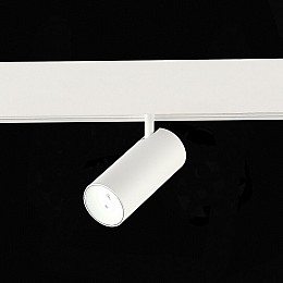 Светильник на штанге ST-Luce SKYLINE 48 ST375.506.07ZGB