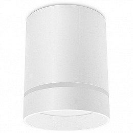 Накладной светильник Ambrella TN TN280