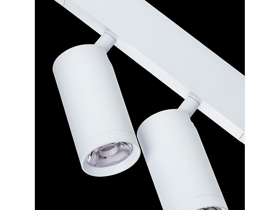 Светильник на штанге Lightstar Teta 205506