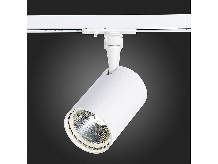 Светильник на штанге ST-Luce Cami ST351.536.20.36