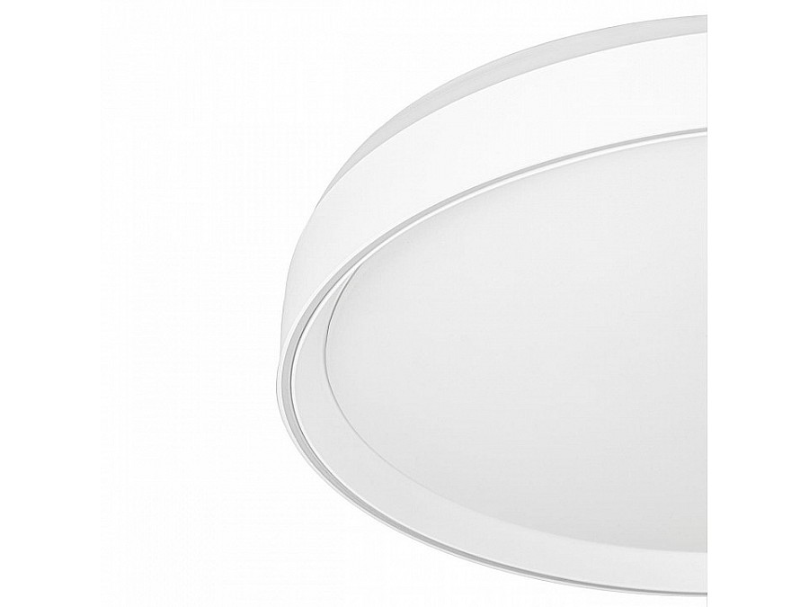 Накладной светильник Citilux BOSS CL751450G