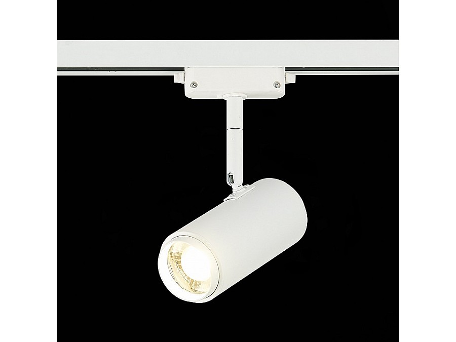 Светильник на штанге ST-Luce Zoom ST600.546.12