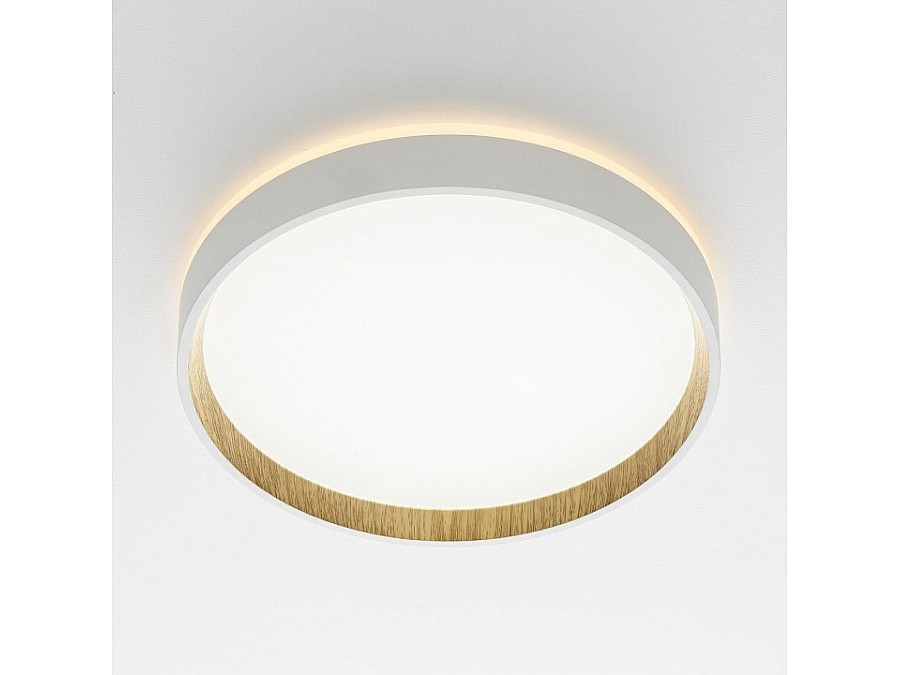 Накладной светильник Citilux Etalon CL750240