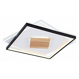 Накладной светильник Ambrella Light FL FL4791