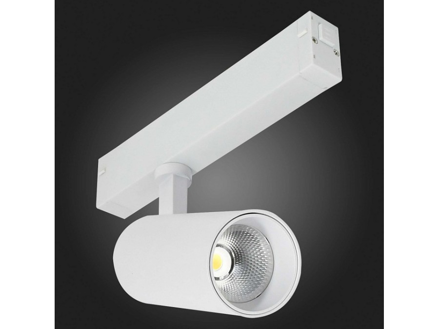 Светильник на штанге ST-Luce SKYLINE 220 ST660.596.20H